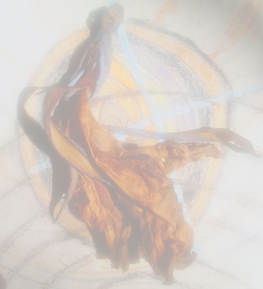 Spirit